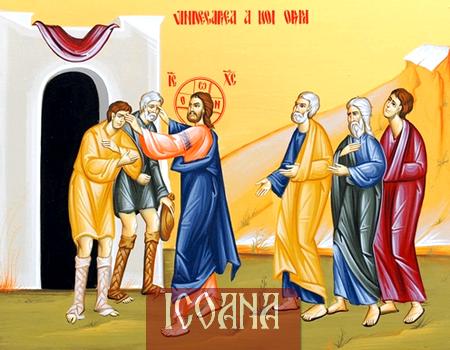 Icoana Duminica vindecării a doi orbi, icoană imprimată pe pânză, cod:PD17