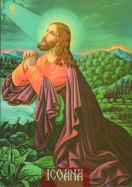Icoana Domnului Iisus Hristos imprimata pe panza, cod:PICXC224